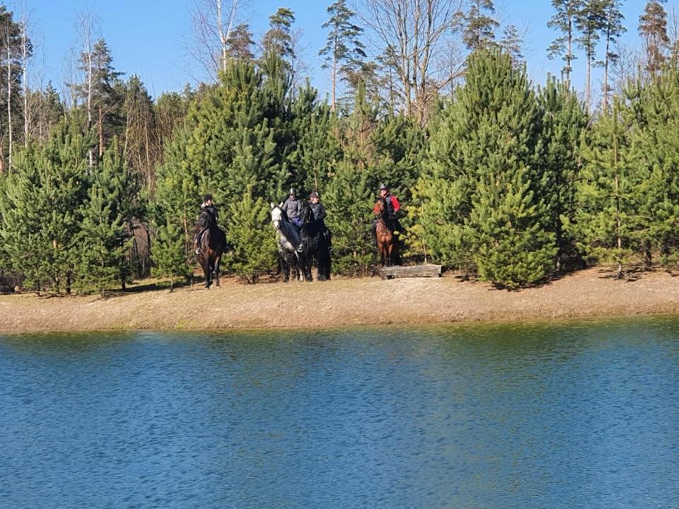 Villa Viesu Maja Forrest Dzimtmisa Esterno foto