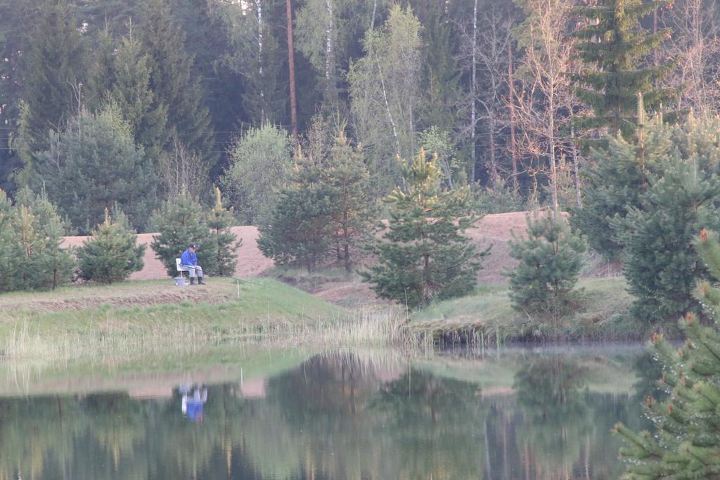 Villa Viesu Maja Forrest Dzimtmisa Esterno foto