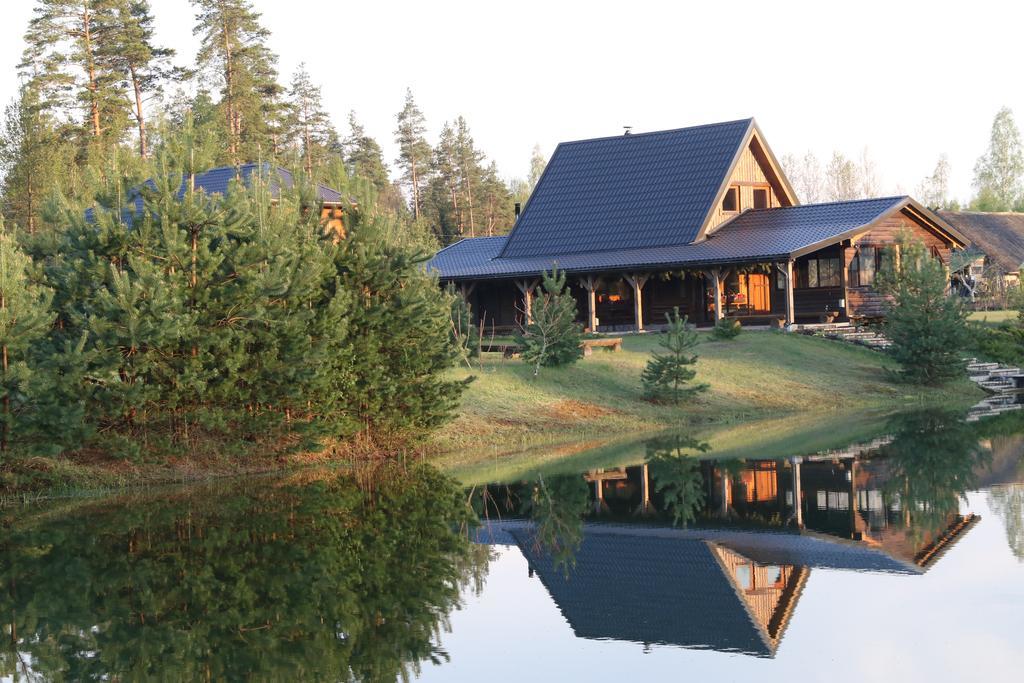 Villa Viesu Maja Forrest Dzimtmisa Esterno foto