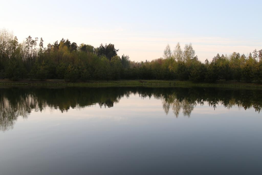 Villa Viesu Maja Forrest Dzimtmisa Esterno foto