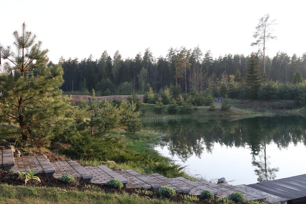 Villa Viesu Maja Forrest Dzimtmisa Esterno foto