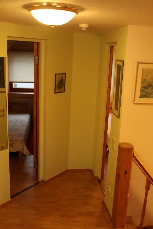 Villa Viesu Maja Forrest Dzimtmisa Esterno foto