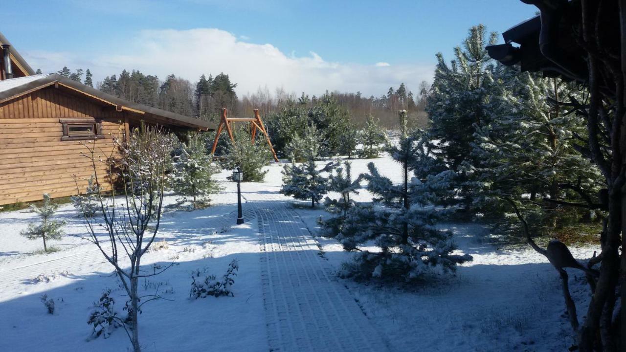 Villa Viesu Maja Forrest Dzimtmisa Esterno foto