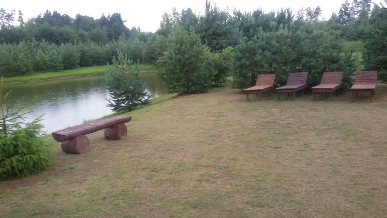 Villa Viesu Maja Forrest Dzimtmisa Esterno foto
